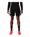 Nike CBF Brasilien Academy Pro Short Schwarz F010 - schwarz