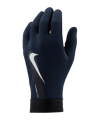 Nike Academy Therma-FIT Spielerhandschuh Kids F011