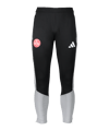adidas 1. FC Nürnberg Trainingshose Schwarz - schwarz