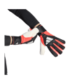 adidas Predator Competition Torwarthandschuhe Schwarz - schwarz