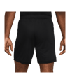 Nike Academy 25 Short Schwarz F010 - schwarz