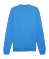 PUMA teamGOAL Casuals Sweatshirt Blau F02 - blau