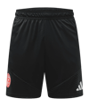 adidas Fortuna Düsseldorf Training Short Schwarz - schwarz