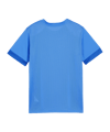 PUMA teamGOAL Matchday Trikot Kids Blau Weiss F02 - blau