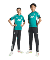 adidas FC Liverpool European Trainingshose 2025/2026 Kids Schwarz - schwarz