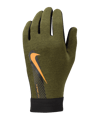 Nike Academy Therma-FIT Spielerhandschuh F013 - schwarz