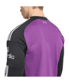 adidas FC Liverpool Torwarttrikot Langarm Away 2026/2027 Lila - lila