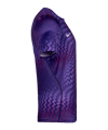 Nike Gardien VI Torwarttrikot Damen Lila F507 F507 - lila