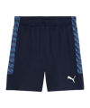 PUMA teamLIGA26 Training Short Blau F06