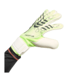 adidas Predator Match Torwarthandschuhe Grün - gruen