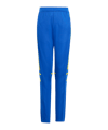 adidas Squadra 25 Trainingshose Kids Blau
