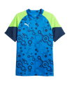 PUMA individualCUP Trikot Blau F54