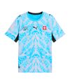 PUMA SFV Schweiz Replica Torwarttrikot Home WM 2026 Blau F86 - blau