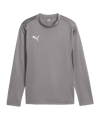 PUMA teamGOAL Training Sweatshirt Kids Grau F13
