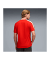 PUMA SFV Schweiz King T-Shirt Rot F05 - rot
