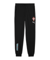 PUMA FPF Portugal FtblCulture Jogginghose Schwarz F28 - schwarz