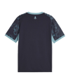 PUMA Olympique Marseille Replica Trikot Away 2026/2027 Blau F02 - blau