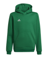 adidas Entrada 22 Hoody Kids Grün - gruen