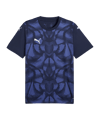 PUMA teamULTIMATE Trikot Kids Blau F06