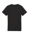 PUMA teamGOAL Trikot Damen Schwarz F03 - schwarz