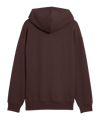 PUMA FC St. Pauli Graphic Hoody Braun F01 - braun