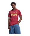 adidas 1. FC Köln Ostermann Trikot Rot - rot