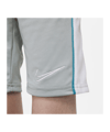 Nike Academy Dri-FIT M18 Short Kids Grau F019 - grau