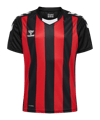 Hummel hmlCore XK Striped Trikot Kids F2030