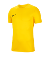 Nike Park VII Trikot kurzarm Gelb F719
