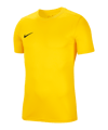 Nike Park VII Trikot kurzarm Gelb F719