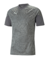PUMA teamCUP Trainingsshirt Grau F13 - grau