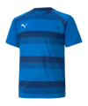 PUMA teamVISION Trikot Kids Blau F02