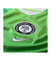 Nike NFF Nigeria Trikot Home WM 2026 Grün F302 - gruen