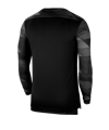 Nike Park IV TW-Trikot langarm Schwarz F010 - schwarz