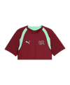 PUMA SFV Schweiz Trainingsshirt Rot F09 - rot
