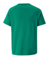PUMA teamVISION Trikot Kids Grün F05 - gruen