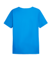 PUMA individualRise Graphic Trikot Blau F02 - dunkelblau