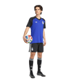 adidas AFA Argentinien Prematch Trikot Away WM 2026 Blau - blau