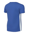 Nike Challenge V Trikot Kids Blau Weiss F463 - blau