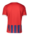 PUMA Trikot Rot Blau F01 Rot Blau F01