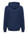 Hummel LGC Julian Hoody Blau F7459 - blau