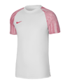 Nike Academy Trikot Weiss Rot F100