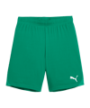 PUMA teamGOAL Short Kids Grün Weiss F05