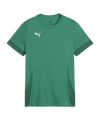 PUMA teamGOAL Matchday Trikot Kids Grün Weiss F05