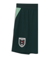 PUMA ÖFB Österreich Short Away WM 2026 Kids Grün F04 - gruen