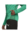 PUMA teamGOAL Trainingsjacke Grün F05 - gruen