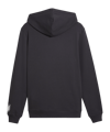 PUMA ÖFB Österreich FtblCulture Hoody Grau F25 - grau
