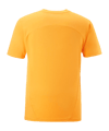 PUMA Galatasaray Istanbul Training T-Shirt Gelb F202 - gelb