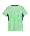 PUMA SFV Schweiz Trikot Away WM 2026 Damen Grün F02 - gruen