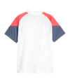 PUMA individualCUP Trikot Kids Weiss F53 - weiss